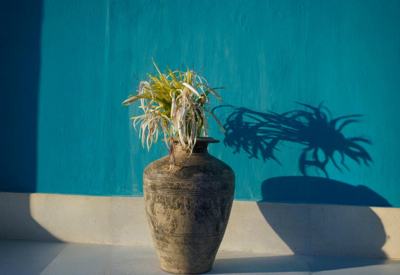 Wabi-Sabi Yoga Retreat